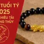 Tử Vi tuổi tý 2025