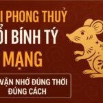 bính tý nữ mạng