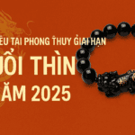 chiêu tài giải hạn phong thủy tuổi thìn