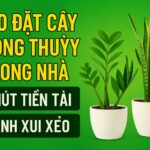 mẹo đặt cây phong thủy trong nhà thu hút tài lộc
