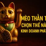 mèo thần tài chọn thế nào Để kinh doanh phát Đạt