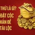 thiềm thừ là gì