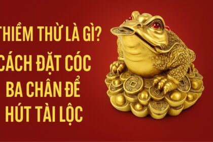 thiềm thừ là gì