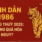 tử vi bính dần 2025