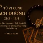 tử vi cung bạch dương 2025 Đón đầu vận may – kích hoạt tài lộc với vòng tay phong thủy cung bạch dương
