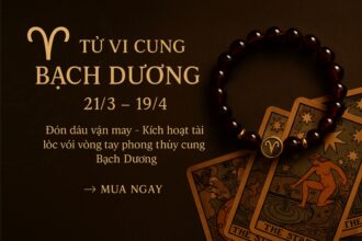 tử vi cung bạch dương 2025 Đón đầu vận may – kích hoạt tài lộc với vòng tay phong thủy cung bạch dương