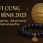 tử vi cung bảo bình 2025 khai phá giới hạn – bứt phá tài lộc bằng vật phẩm phong thủy hợp mệnh