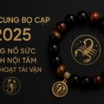 tử vi cung bọ cạp 2025 bùng nổ sức mạnh nội tâm – kích hoạt tài vận bằng vòng tay phong thủy