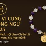 tử vi cung song ngư 2025 tỉnh thức nội tâm – chiêu tài bằng vòng tay phong thủy hợp mệnh