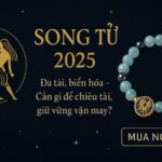 tử vi cung song tử 2025 Đa tài, biến hóa – cần gì để chiêu tài, giữ vững vận may