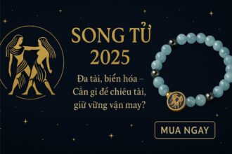tử vi cung song tử 2025 Đa tài, biến hóa – cần gì để chiêu tài, giữ vững vận may