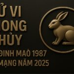 tử vi đinh mão 1987