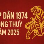 tử vi phong thủy giáp dần 2025