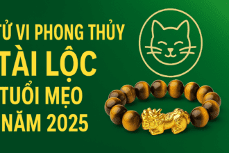 tử vi phong thủy tài lộc 2025 cho tuổi mẹo