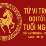tử vi phong thủy trọn đời tuổi ngọ