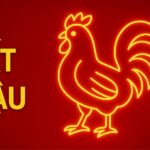 tử vi phong thủy tuổi Ất dậu 2005 năm 2025 dẫn đường tuổi trẻ – vững tâm khí – mở lối chiêu tài