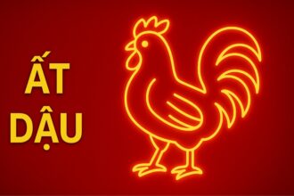 tử vi phong thủy tuổi Ất dậu 2005 năm 2025 dẫn đường tuổi trẻ – vững tâm khí – mở lối chiêu tài