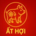 tử vi phong thủy tuổi Ất hợi 1995 năm 2025 vượt xung hạn – giữ tài lộc – hộ thân an mệnh