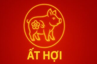 tử vi phong thủy tuổi Ất hợi 1995 năm 2025 vượt xung hạn – giữ tài lộc – hộ thân an mệnh