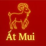 tử vi phong thủy tuổi Ất mùi 1955 năm 2025 dưỡng khí – hộ thân – tích phúc tuổi già