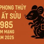 tử vi phong thủy tuổi Ất sửu 1985 – nam mạng năm 2025 cơ hội lớn Đến sau giai Đoạn gập ghềnh