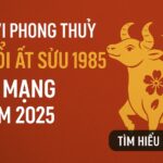 tử vi phong thủy tuổi Ất sửu 1985 – nữ mạng năm 2025 vượt gió nghịch, Đón lộc mới