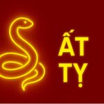 tử vi phong thủy tuổi Ất tỵ 1965 năm 2025 dưỡng khí – trấn trạch – hưng tài hậu vận