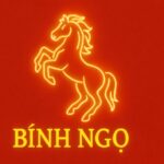 tử vi phong thủy tuổi bính ngọ 1966 năm 2025 tài vững – khí an – hóa giải vận xui tuổi trung niên