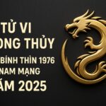 tử vi phong thủy tuổi bính thìn 1976 – nam mạng năm 2025 hỏa vượng sinh cơ, tĩnh tâm dẫn lối tài lộc