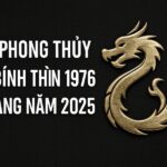 tử vi phong thủy tuổi bính thìn 1976 – nữ mạng năm 2025 hành vận vững vàng, tài khí tăng trưởng