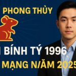 tử vi phong thủy tuổi bính tý nam mạng