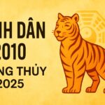 tỬ vi phong thỦy tuỔi canh dẦn 2010 nĂm 2025 vượt qua tuổi dậy thì, ổn định học lực và tâm lý với phong thủy hộ mệnh