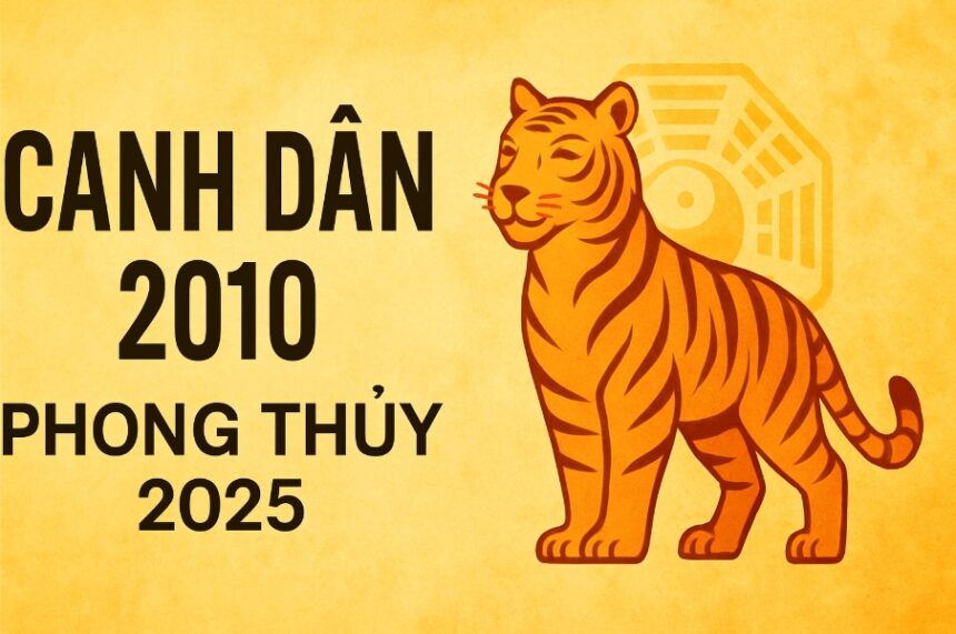 tỬ vi phong thỦy tuỔi canh dẦn 2010 nĂm 2025 vượt qua tuổi dậy thì, ổn định học lực và tâm lý với phong thủy hộ mệnh