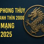 tử vi phong thủy tuổi canh thìn 2000 – nam mạng năm 2025 khởi Động vận mới, bước vững Đường xa