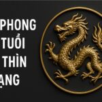 tử vi phong thủy tuổi canh thìn 2000 – nữ mạng năm 2025 khai mở thời cơ, gieo hạt thành công