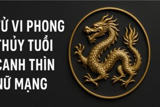 tử vi phong thủy tuổi canh thìn 2000 – nữ mạng năm 2025 khai mở thời cơ, gieo hạt thành công