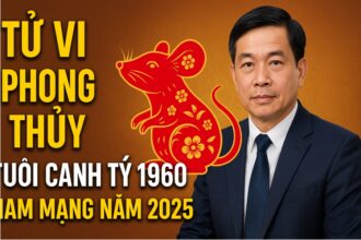 tử vi phong thủy tuổi canh tý 1960 – nam mạng năm 2025 vận trình bình Ổn, khai mở tài lộc về cuối
