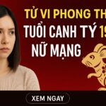 tử vi phong thủy tuổi canh tý 1960 – nữ mạng năm 2025 hóa giải vận xui, hút tài tụ phúc