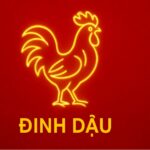 tử vi phong thủy tuổi Đinh dậu 2017 năm 2025 dưỡng khí trường – Ổn định trí lực – bảo hộ tinh thần cho trẻ