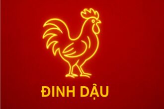 tử vi phong thủy tuổi Đinh dậu 2017 năm 2025 dưỡng khí trường – Ổn định trí lực – bảo hộ tinh thần cho trẻ