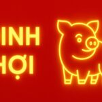 tử vi phong thủy tuổi Đinh hợi 2007 năm 2025 hộ thân tuổi mới lớn – khai trí – dưỡng sinh khí trường