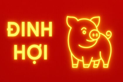 tử vi phong thủy tuổi Đinh hợi 2007 năm 2025 hộ thân tuổi mới lớn – khai trí – dưỡng sinh khí trường
