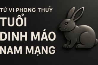 tử vi phong thủy tuổi Đinh mão 1987 – nam mạng năm 2025 lùi một bước là thế tiến xa hơn
