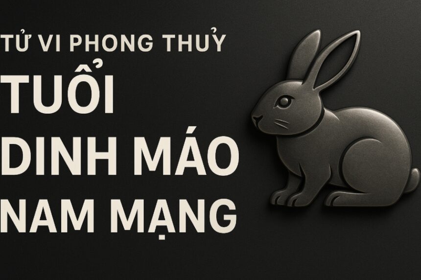 tử vi phong thủy tuổi Đinh mão 1987 – nam mạng năm 2025 lùi một bước là thế tiến xa hơn