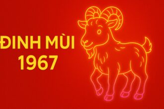tử vi phong thủy tuổi Đinh mùi 1967 năm 2025 giữ tài – dưỡng thân – Ổn định nội lực tuổi trung niên