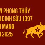 tử vi phong thủy tuổi Đinh sửu 1997 – nam mạng năm 2025 phá bỏ giới hạn, bật tăng vận tài