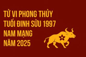 tử vi phong thủy tuổi Đinh sửu 1997 – nam mạng năm 2025 phá bỏ giới hạn, bật tăng vận tài