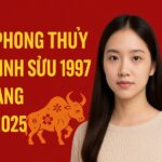 tử vi phong thủy tuổi Đinh sửu 1997 – nữ mạng năm 2025 gieo Đúng duyên, gặt Đủ tài