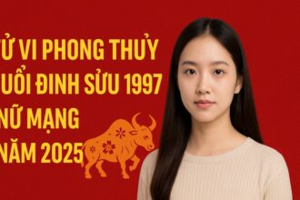 tử vi phong thủy tuổi Đinh sửu 1997 – nữ mạng năm 2025 gieo Đúng duyên, gặt Đủ tài