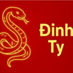 tử vi phong thủy tuổi Đinh tỵ 1977 năm 2025 chiêu tài vượng phát – hóa giải vận xui – vững bước hậu vận